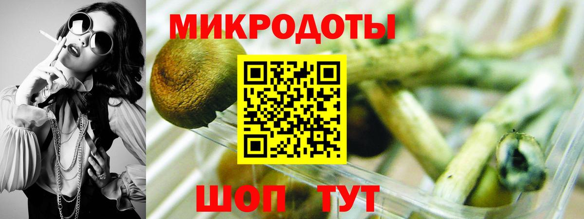 Псилоцибиновые грибы MAGIC MUSHROOMS Дербент