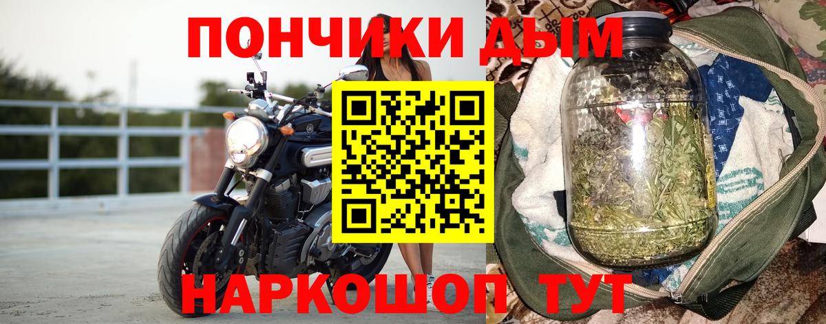 Бошки Шишки марихуана Дербент